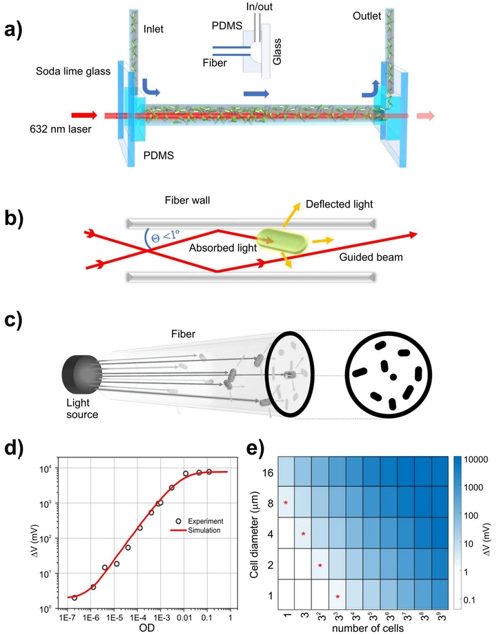 RUSD platform schematic showing hollow fiber as optical waveguide and growth chamber, with laser, fiber, and photodiode components, calibration curve, and cell-size sensitivity heatmap