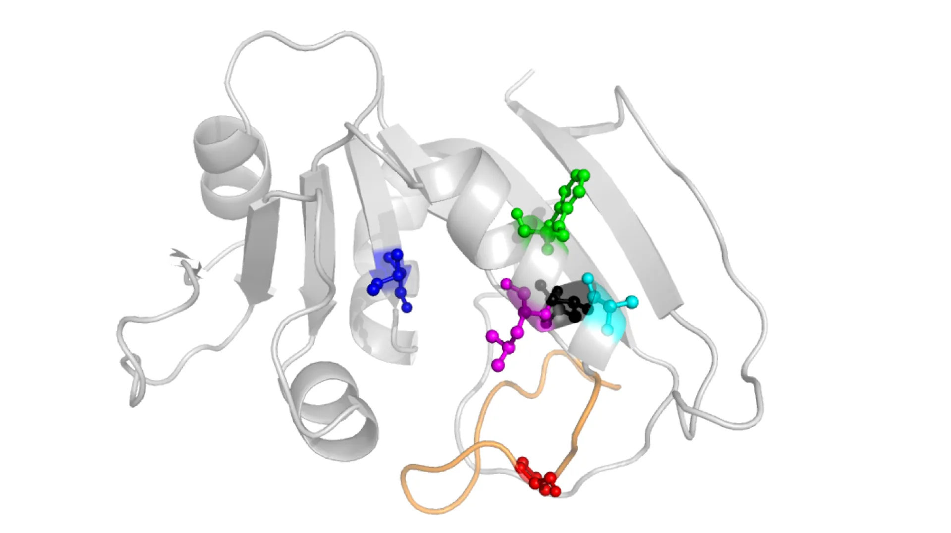Lab research image 1