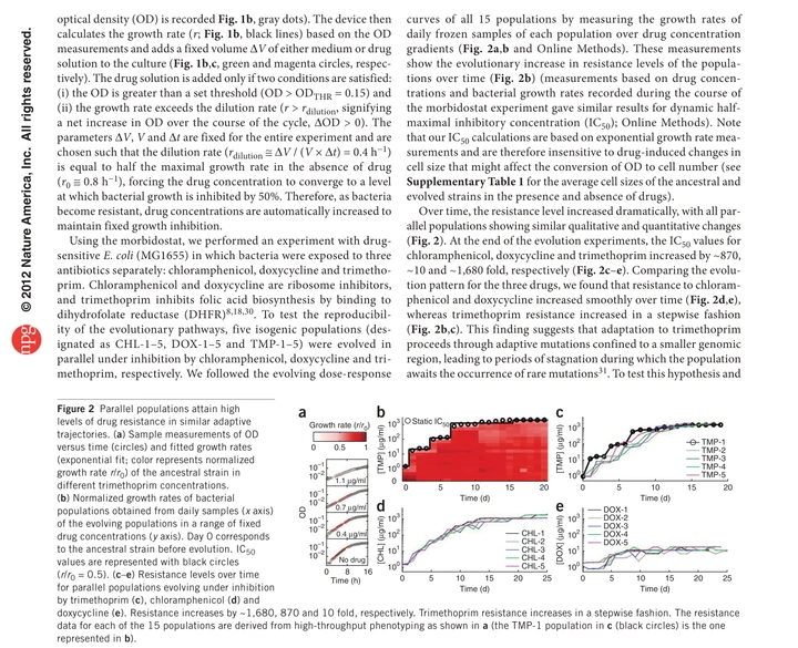 Resistance trajectories showing parallel populations evolving under chloramphenicol, doxycycline, and trimethoprim — stepwise vs smooth IC50 increases and normalized growth rate heatmaps